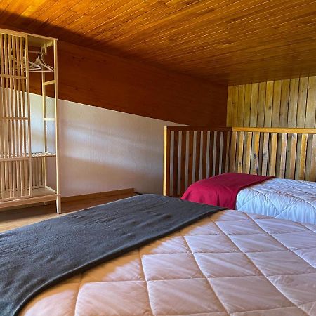 Le Saporta- Studios Et Appartements Meubles De Tourisme Le Lioran Luaran gambar