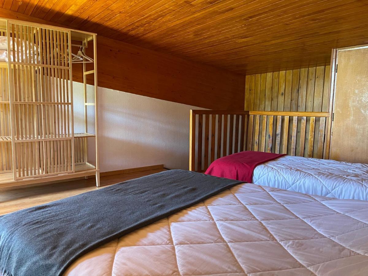 Le Saporta- Studios Et Appartements Meubles De Tourisme Le Lioran Luaran gambar