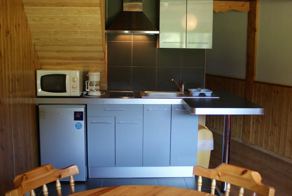 Le Saporta- Studios Et Appartements Meubles De Tourisme Le Lioran Bilik gambar